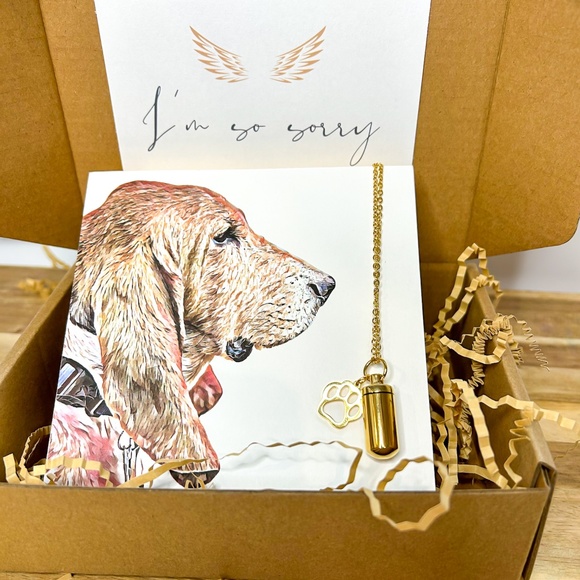 Memorial Pet Portrait and Urn Gift Set - Picture 1 of 9